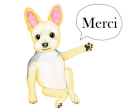 Yorkshire Terrier sticker2 sticker #7909985