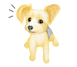 Yorkshire Terrier sticker2 sticker #7909988