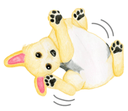 Yorkshire Terrier sticker2 sticker #7909990