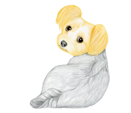 Yorkshire Terrier sticker2 sticker #7909991