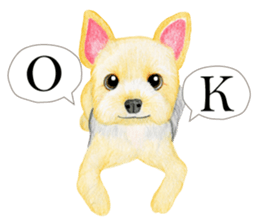 Yorkshire Terrier sticker2 sticker #7909992