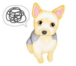 Yorkshire Terrier sticker2 sticker #7909995