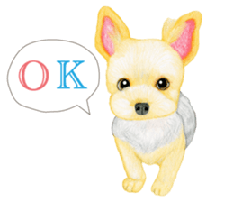 Yorkshire Terrier sticker2 sticker #7910001