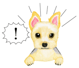 Yorkshire Terrier sticker2 sticker #7910003