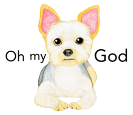 Yorkshire Terrier sticker2 sticker #7910004