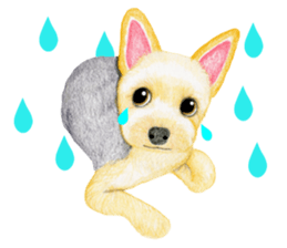 Yorkshire Terrier sticker2 sticker #7910005