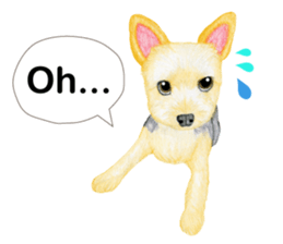 Yorkshire Terrier sticker2 sticker #7910006