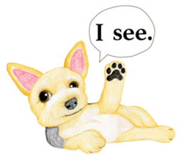 Yorkshire Terrier sticker2 sticker #7910009