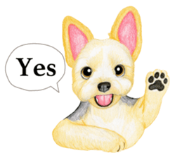 Yorkshire Terrier sticker2 sticker #7910010