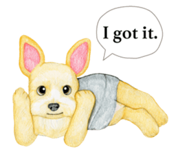 Yorkshire Terrier sticker2 sticker #7910011