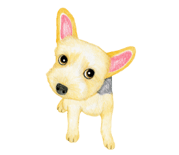 Yorkshire Terrier sticker2 sticker #7910013