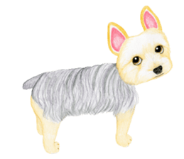 Yorkshire Terrier sticker2 sticker #7910014