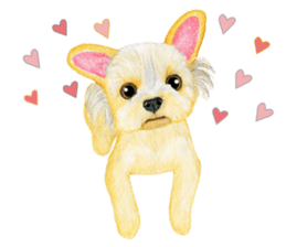 Yorkshire Terrier sticker2 sticker #7910015