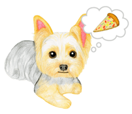 Yorkshire Terrier sticker2 sticker #7910016