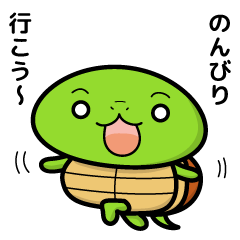 turtle and daily life