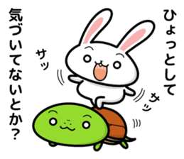 turtle and daily life sticker #7910425