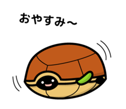turtle and daily life sticker #7910441