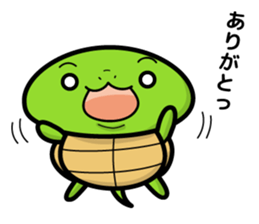 turtle and daily life sticker #7910442