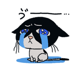 HACHI-NYAN,The happy cat sticker #7918183