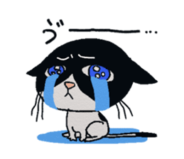 HACHI-NYAN,The happy cat sticker #7918183