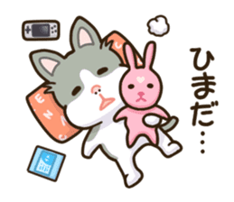 SAMISUKE & SHIBUO sticker #7920584