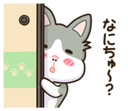 SAMISUKE & SHIBUO sticker #7920585