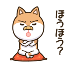 SAMISUKE & SHIBUO sticker #7920588