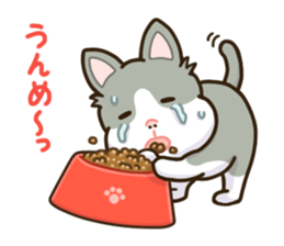 SAMISUKE & SHIBUO sticker #7920617