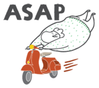 V BOY /English version sticker #7922876