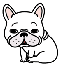 French bulldog Gomaco and Hana 2 English sticker #7923704