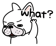 French bulldog Gomaco and Hana 2 English sticker #7923710