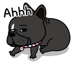 French bulldog Gomaco and Hana 2 English sticker #7923724