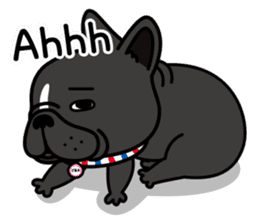 French bulldog Gomaco and Hana 2 English sticker #7923724