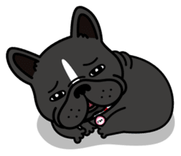 French bulldog Gomaco and Hana 2 English sticker #7923726