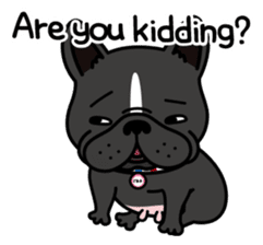 French bulldog Gomaco and Hana 2 English sticker #7923728