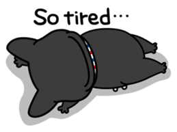 French bulldog Gomaco and Hana 2 English sticker #7923731