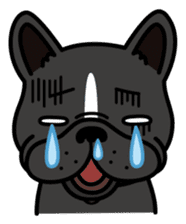 French bulldog Gomaco and Hana 2 English sticker #7923733