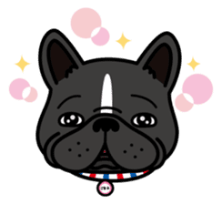 French bulldog Gomaco and Hana 2 English sticker #7923736