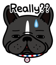 French bulldog Gomaco and Hana 2 English sticker #7923739