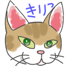 Lamsama sticker #7924105