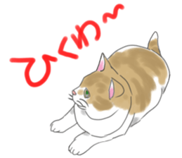 Lamsama sticker #7924137