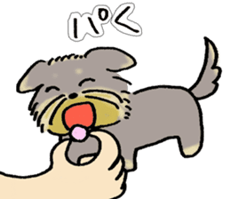 Dog Momo sticker #7925284