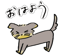 Dog Momo sticker #7925290