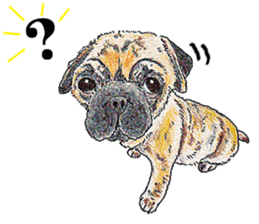 acco sticker sticker #7926312