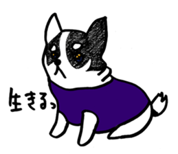 good combination,sen&tsukimaro sticker #7926901