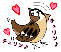 Pooh of sparrow, Fluffy daily sticker #7928987