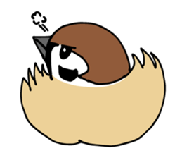 Pooh of sparrow, Fluffy daily sticker #7928992