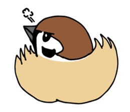 Pooh of sparrow, Fluffy daily sticker #7928992
