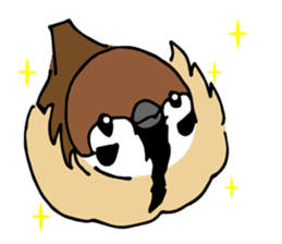 Pooh of sparrow, Fluffy daily sticker #7928995