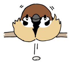 Pooh of sparrow, Fluffy daily sticker #7928996